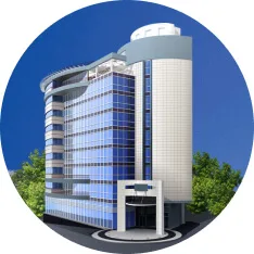 Property Buying Renting Real  Agencies With Finding - 南宫28